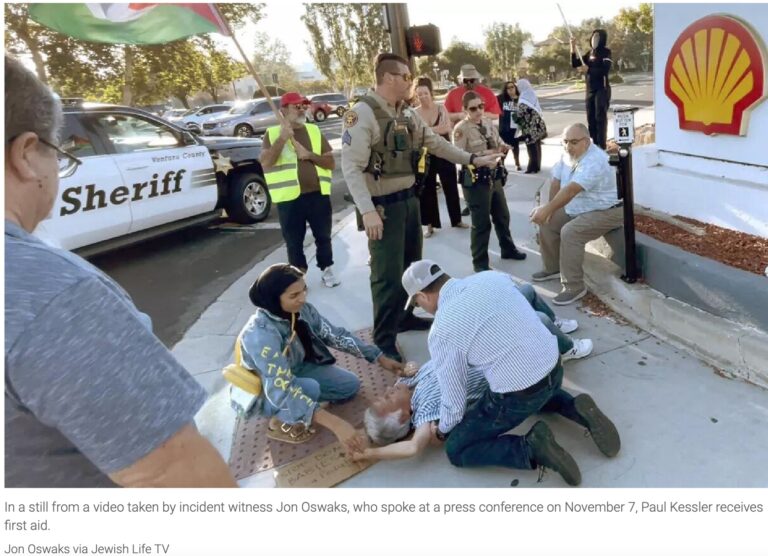 Jewish man killed by Palestinian protester in LA