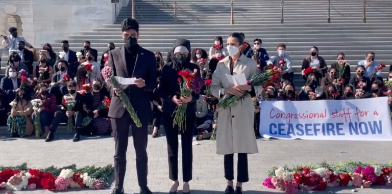 Mutiny: Congressional staffers hide behind masks to protest Israel’s attempts to free people from captivity