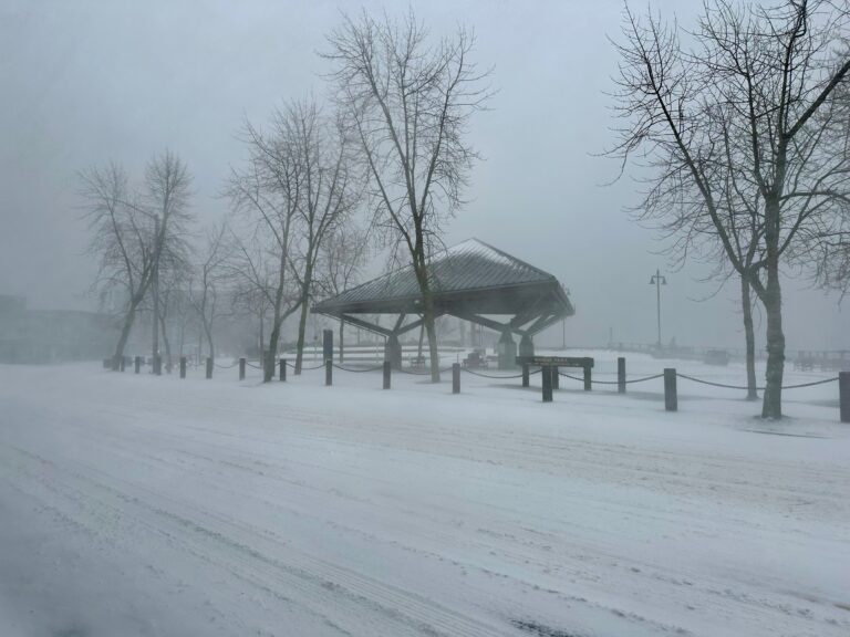 Juneau State and CBJ offices closed due to blizzard