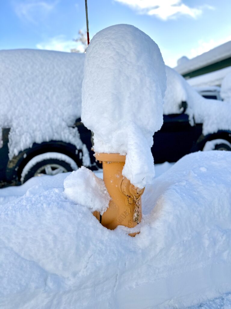 Creative solution to cold weather driving problem, Lathrop High is state winner in STEM contest
