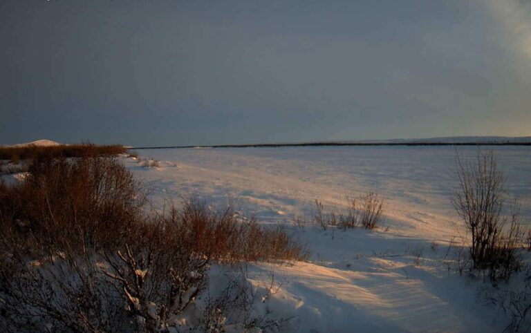 Oil wins one: Judge tells eco-lawyers that Willow project can proceed with winter construction