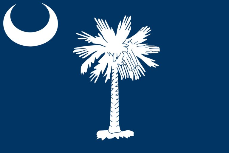 Palmetto bug: Democrats kick off their primary season in South Carolina after blowing off New Hampshire’s primary in January