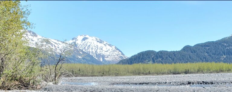 Plane missing on Kenai Peninsula with three souls