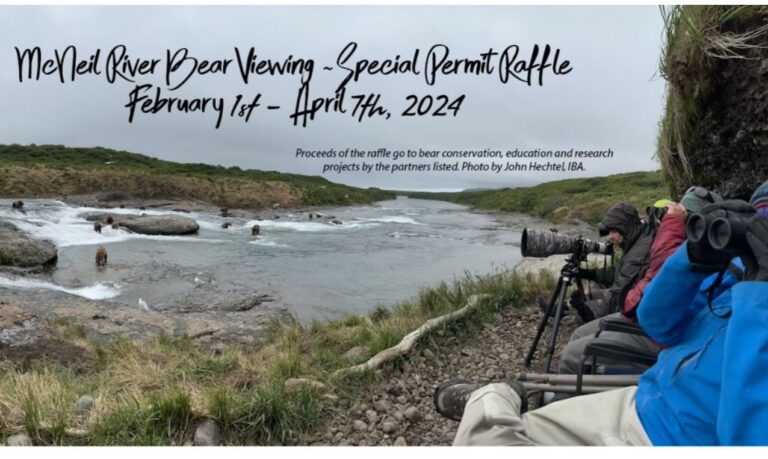 Alaska life hack: McNeil River bear-watching raffle