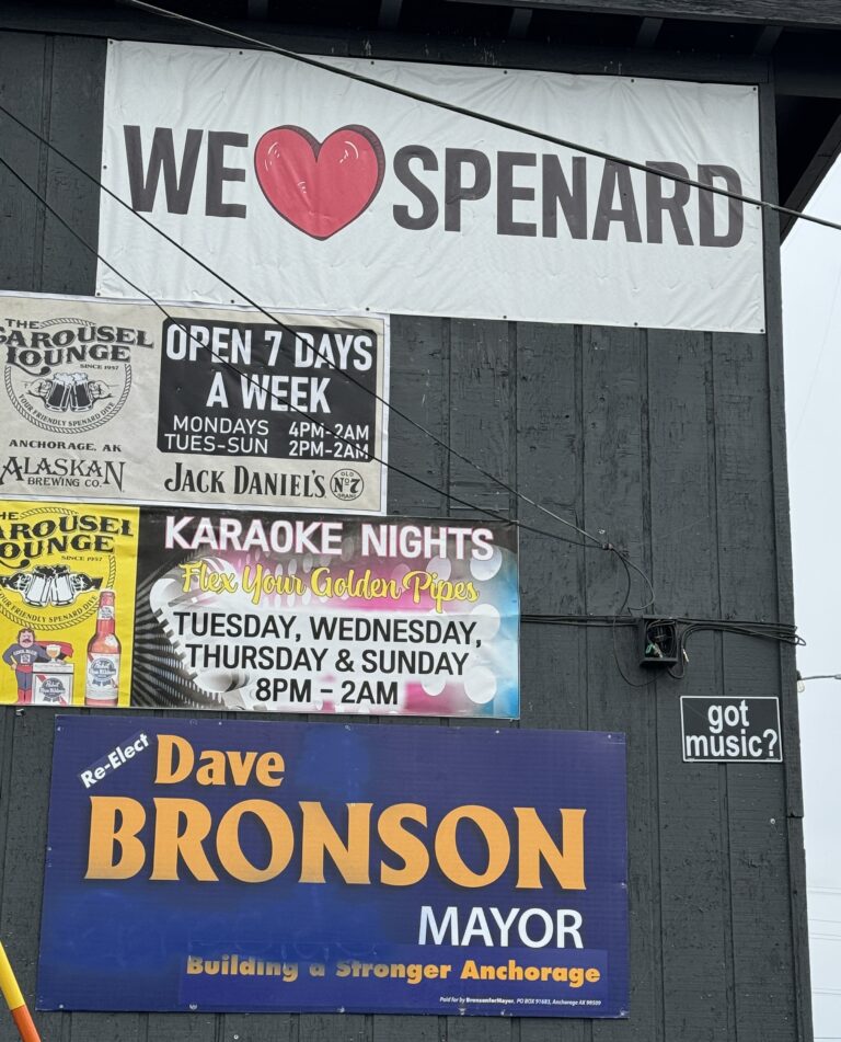 Watch video of vandal who painted over Bronson sign