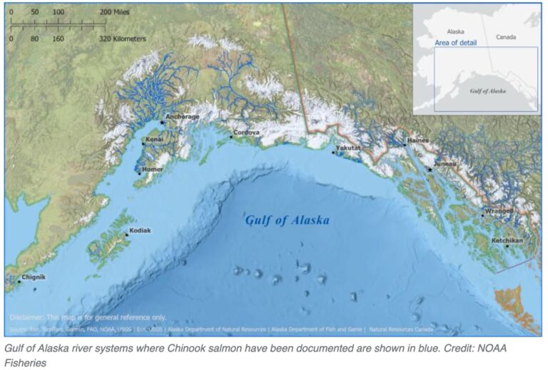 NOAA starts review process to list Alaska Chinooks as threatened or endangered