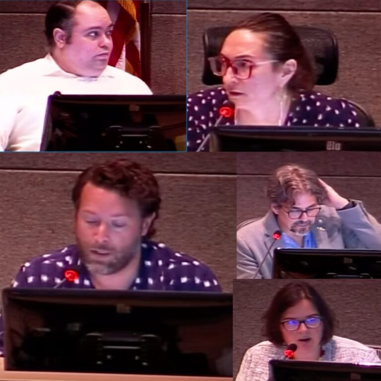 Anchorage Assembly quietly changes rules to let members work as legislative staffers; Anna Brawley quickly takes new job for Democrat legislator