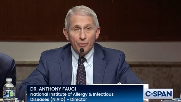 Linda Boyle: Will Fauci face justice?