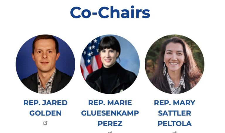 Peltola’s Blue Dog co-chair calls for Biden to actually resign, the other says he’s not sure anymore