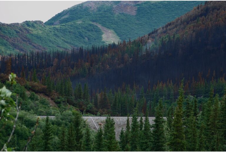 Denali National Park closure continues, but wet weather is helping contain fire