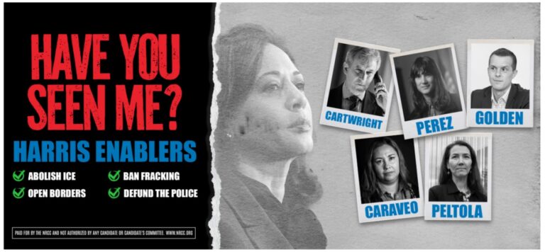 Peltola’s face on Chicago billboard as ‘missing’