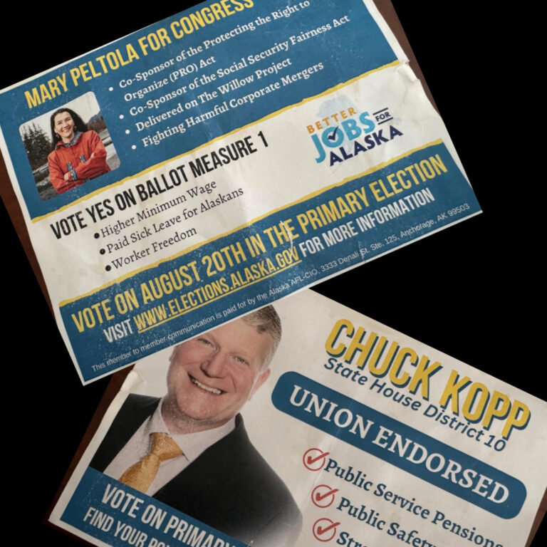 AFL-CIO flyer supports Rep. Mary Peltola and who?