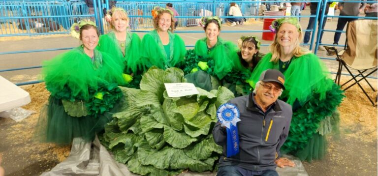 Cabbage giants compete at the fair … and we have a winner