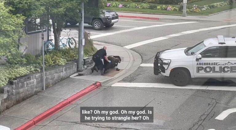 Man accused of assault during roadway encounter, in which female officer was choked, punched, and bit