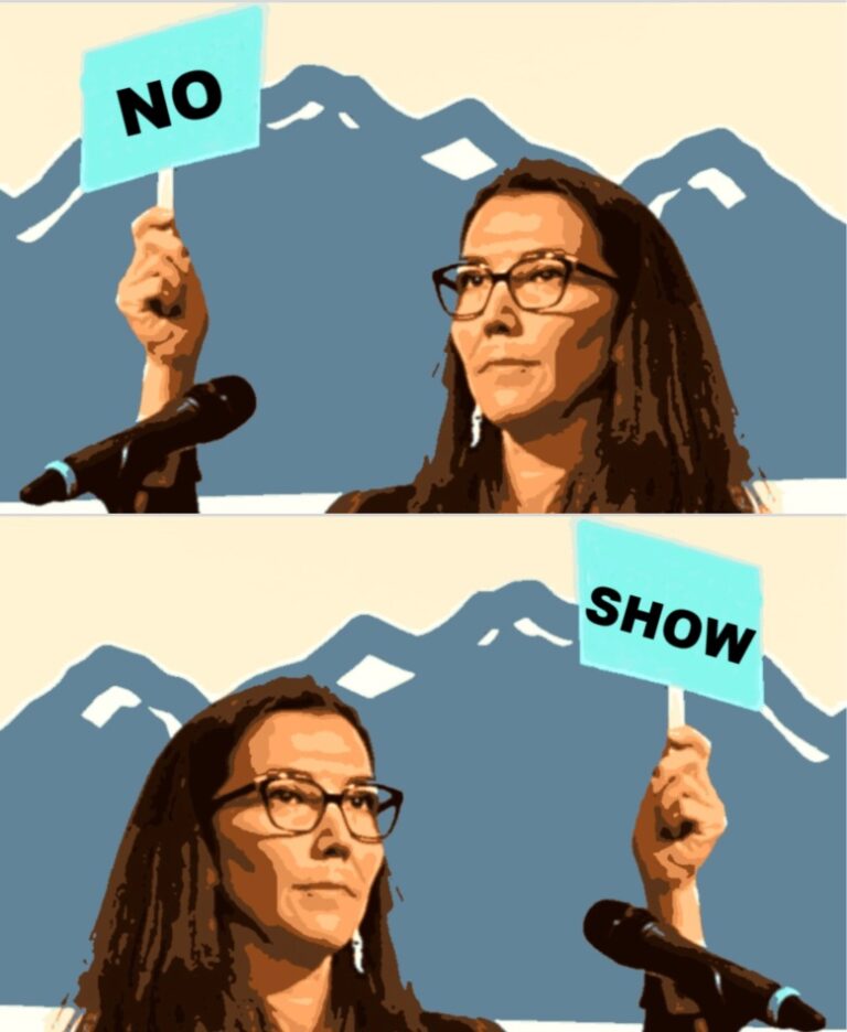 Peltola missing from House hearing on Biden declaring all Arctic areas to be EPA wetlands