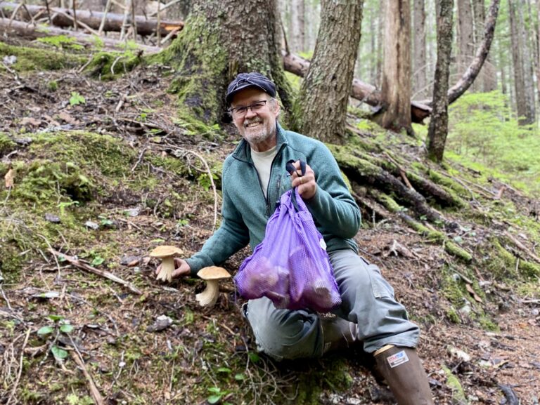 Foodies and foragers of the north: Fungus among us
