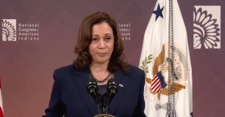 Environmental activists draft plan for Kamala Harris to clamp down on fossil fuels