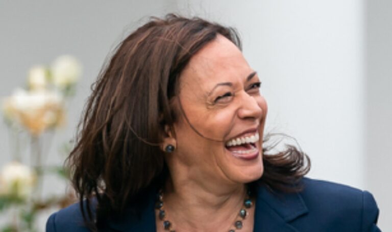 Alaska Democrats fantasize about Kamala Harris winning the 49th State’s three electoral votes