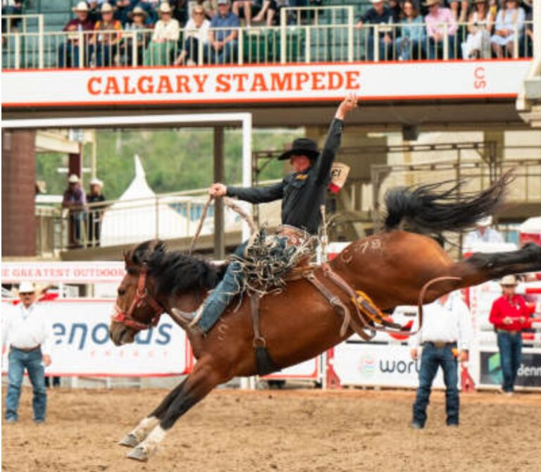 Calgary Stampede plans? There will be WestJet flights from Anchorage next summer
