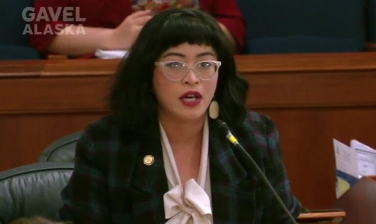 Document drop: The 2017 musings of the incoming chairwoman of the Alaska House Health and Social Services Committee
