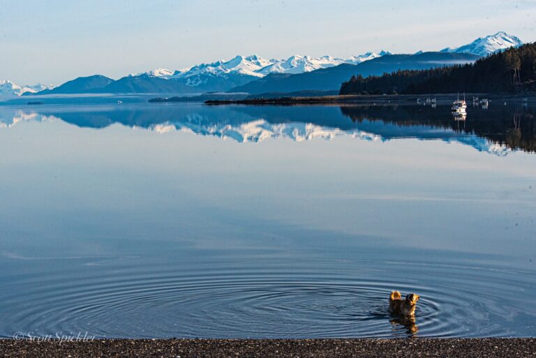 Charts: Sea levels drop along Alaska coast. Why?