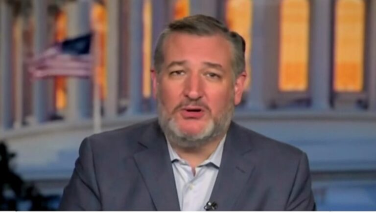 Cruz: Democrats ‘freaking out’ after unable to land a single blow on Kash Patel for FBI director