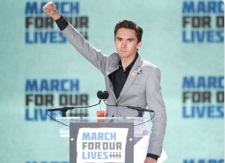 Democrats add rabid anti-gun activist as vice-chairman as party tries to recover from infighting