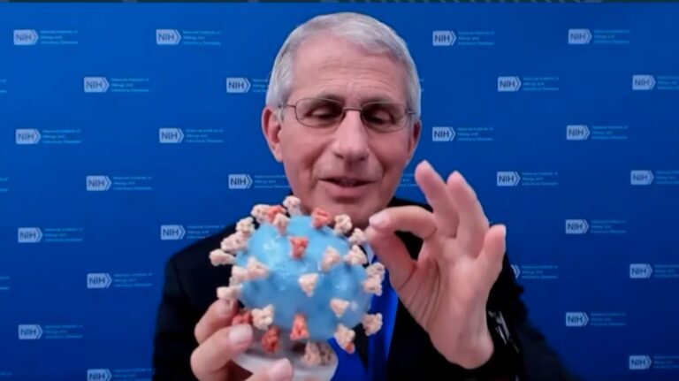 Linda Boyle: DOGE puts stop to the fawning Fauci museum exhibit that taxpayers would have paid for