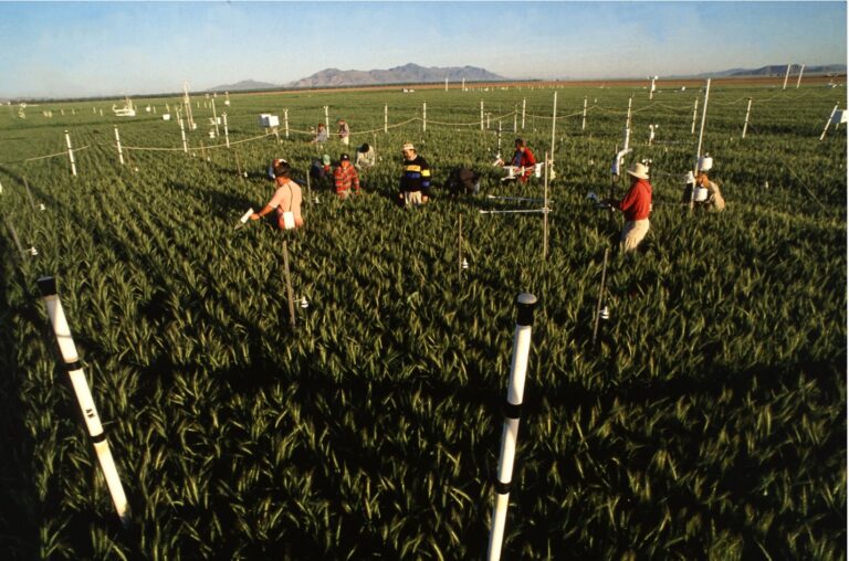 DOGE: How much in taxpayer dollars did Biden spend studying ‘queer farming quality of life’?