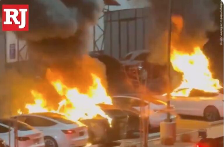 AG Pam Bondi calls Tesla vandalism ‘domestic terrorism’ as Democrats get more violent