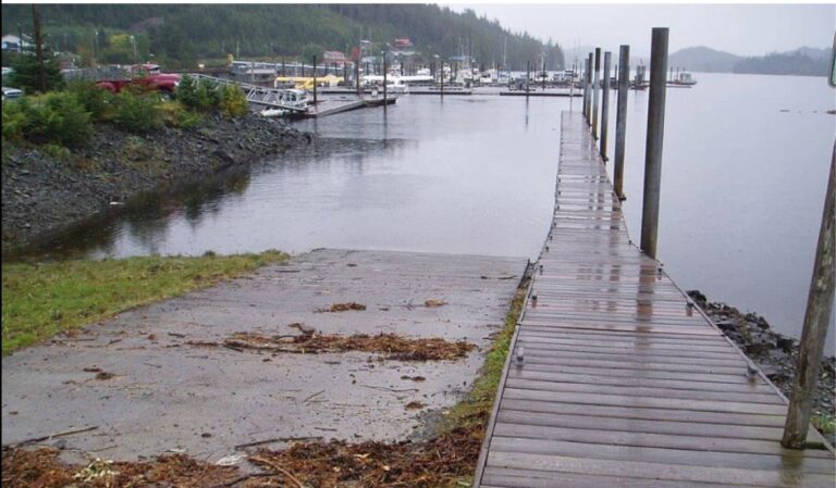 Sick: Remains of dogs found in crab pots