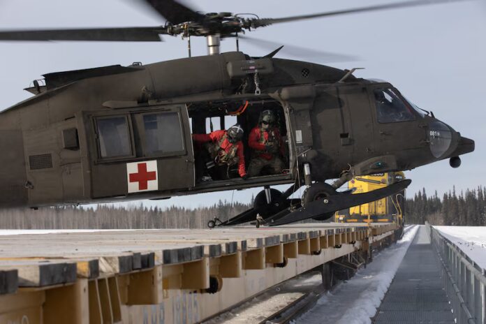 black hawk on a train Chena River