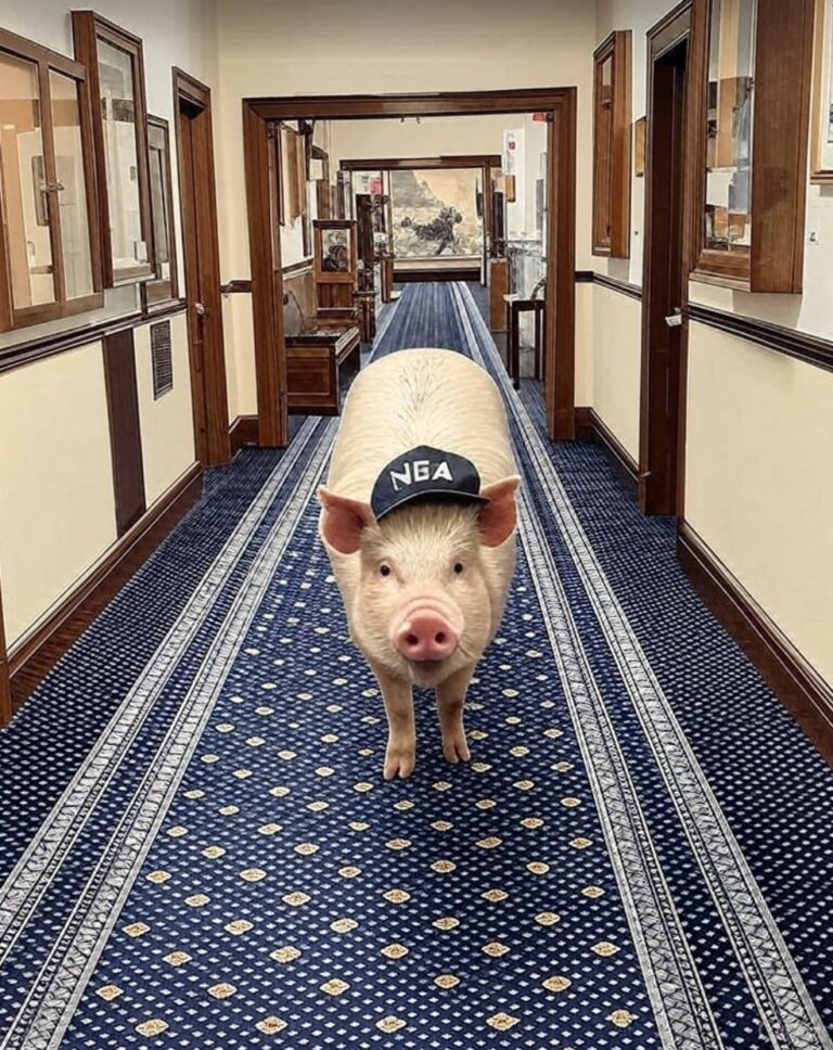 House, Senate to meet jointly to hold override vote on major Education spending bill