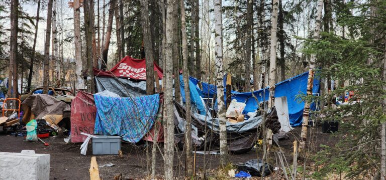 Alaska Supreme Court reverses dismissal in Anchorage vagrant campsite abatement case