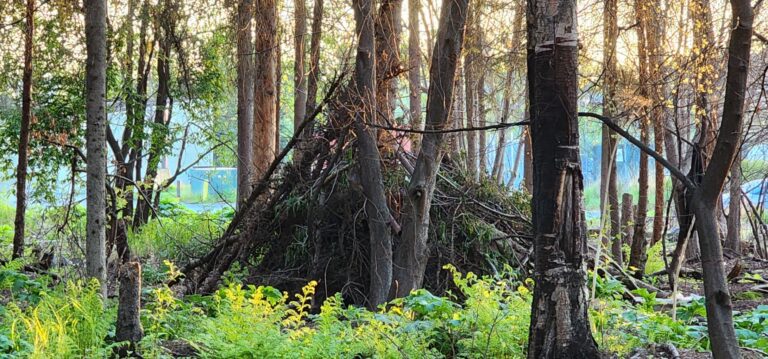 Photo tour: Democrats blasted Bronson for Centennial Park campground. They ushered in Anchorage trail system’s Wild, Wild West