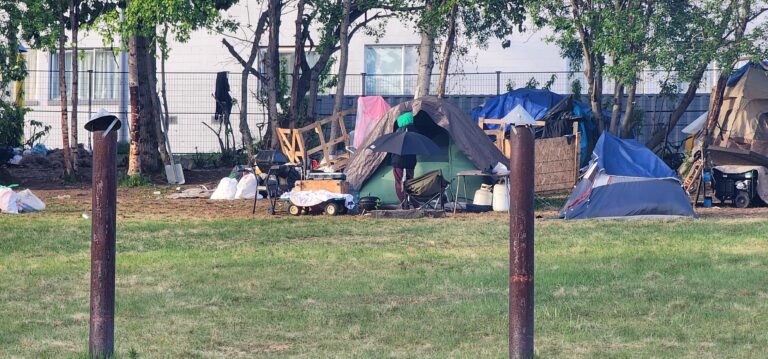 Room with a view: A multi-media tour of scenic Mayor Suzanne LaFrance Autonomous Zone (SLAZ)