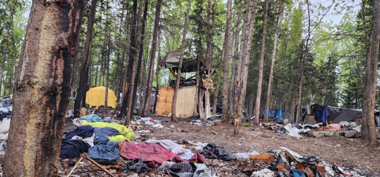 Video: Come with us as we walk through the Suzanne LaFrance Autonomous Zone (SLAZ)