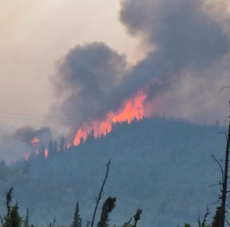 Bear Creek Fire jumps highway as crews battle blazes across Interior