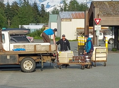 State moving animals