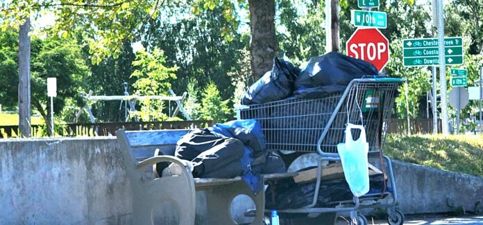 homeless vagrant in downtown Anchorage, July 2025