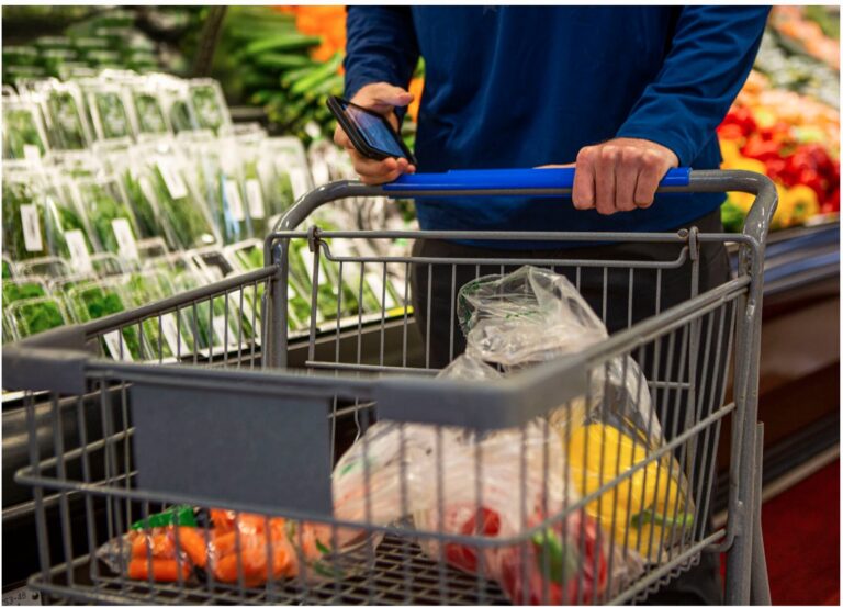 California may pass law to fine stores up to $650 for the shopping carts that get stolen from premises