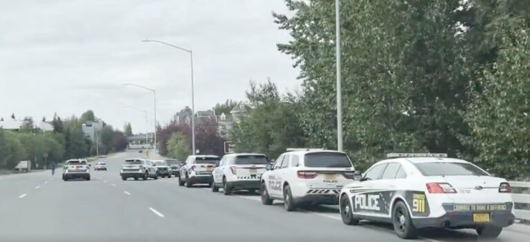 Video: Police descend on wooded camp where gunshots rang out