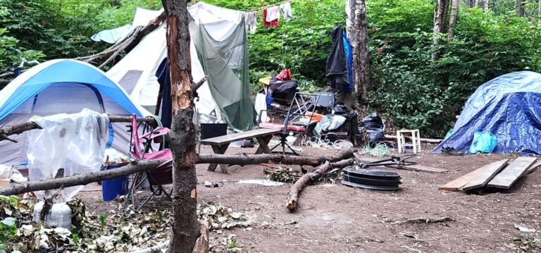 Anchorage mayor pushes ‘Beyond the Beige’ public art grants, while vagrancy, decay take over the city