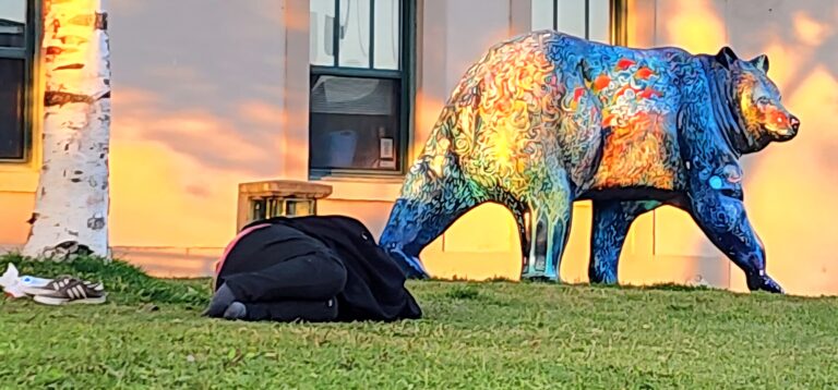 Photo tour: Step carefully in urban Anchorage