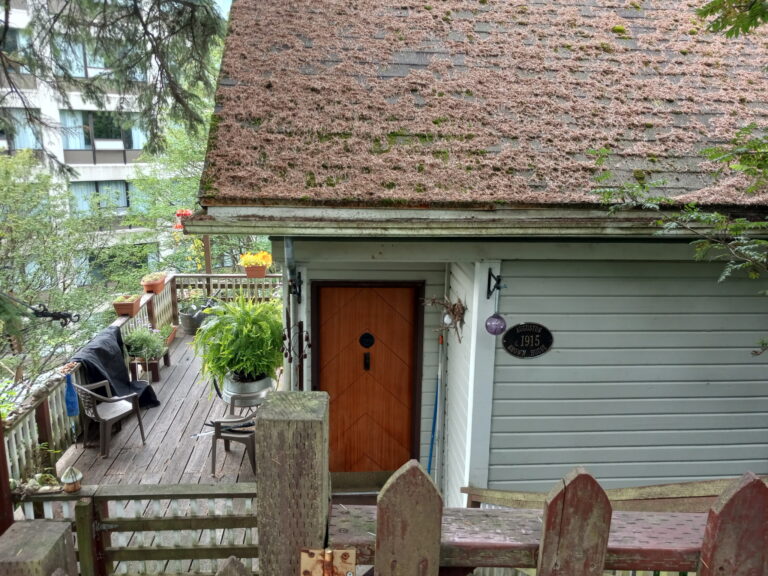 David Ignell: Conservatives, liberals unite to save Alaska history on Telephone Hill in Juneau