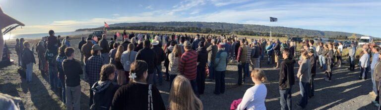 Will Voters Turn the Homer City Council Red?