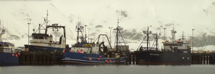 Trawl Bycatch: Understanding the Serious Harm to Alaska and the Possible Solutions
