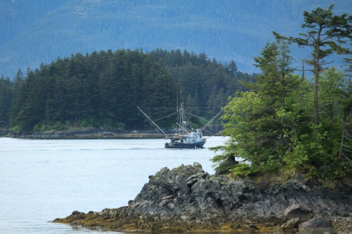 pexels-howard-herdi-3779885-5874048