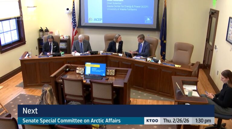 Arctic Affairs Committee Weighs Nuclear Promise and Greenland Partnership