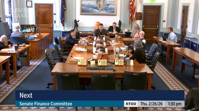 Second Day of Testimony: Urge Investments in Victim Services, Education, and Infrastructure